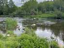 River running along site