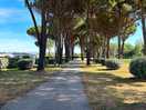 Chemin pour placement et balade