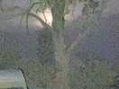 Great pic of moon