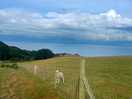 Blue skies!