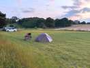 The site