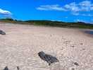 Wonderful beach