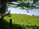 Surrounding views