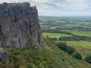 The roaches