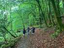 Gorgeous woods to play in
