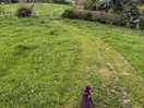 Walking in the fields