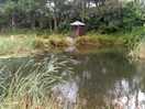Swimming lake