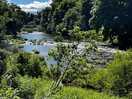 On the bank of the river