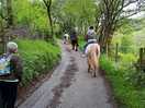 Riding school a short walk away.