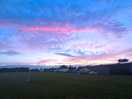 Field