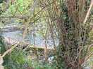 River at entrance to site