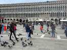 Piazza san marco