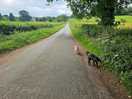 Road