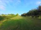 Site walks