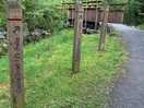 Carie trails