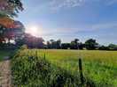 The track you walk from the campsite to the cuckoo trail.