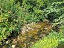 Stream beside field
