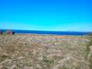 Coastal walk