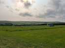 The view