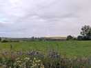 Across the field