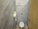 One of the toilets