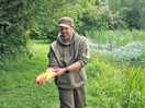 Tench