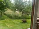 From the window of cabin