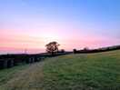 Lovely sunset