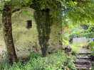 Little pathways around the site for you to explore