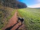 Walk to dawlish