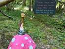 Fairy houses dotted around the woodland.