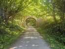 Cycle path