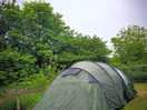 Tent & trees