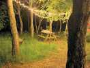 Fairy lit area with games and benches