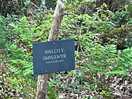 Site sign