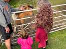 My daughter loved visiting the horses