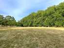 The field was nice and secluded