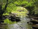 One of the lovely walks.