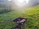 Steak, jecket cooked on the coals and sunset.