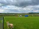 All the tents are all so spread out giving us privacy and space.