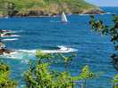 If you like walking the coastal paths in this area are stunning and challenging.