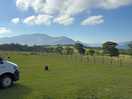 View from all the pitches in the paddock area