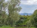 Views from the site