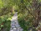 Walk into bedgelert along the river.