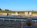 Horse show