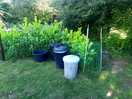 Drinking and non drinking water taps. various different types of bins.