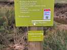 Salt marsh