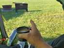 Morning