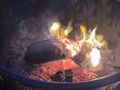 Fire pit at campsite