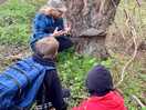Foraging with henry